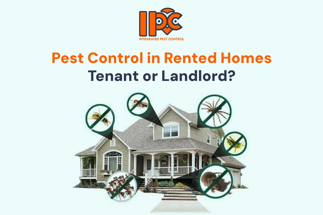 Pest Control in Rented Homes: Tenant or Landlord? | IPC Bharat